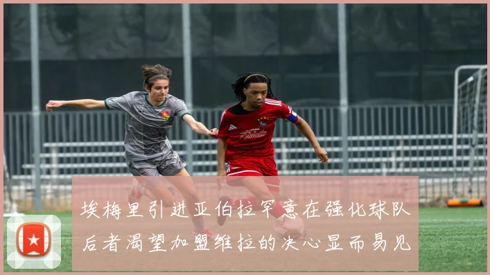 埃梅里引进亚伯拉罕意在强化球队后者渴望加盟维拉的决心显而易见